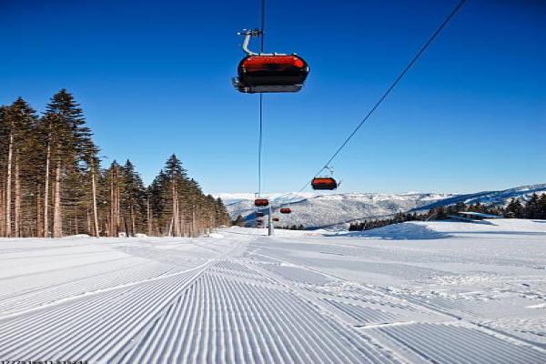 体育培训后的收获与感想：学员成长故事分享